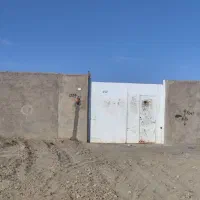 پرورش شتر مرغ و دامداری