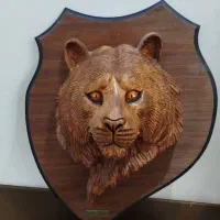 سردیس خرس برجسته