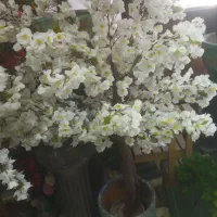 درخت شکوفه مصنوعی|گل مصنوعی|یزد, |دیوار