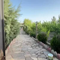 بهترین قطعه سند دار حاشیه شاهنامه ۷۶