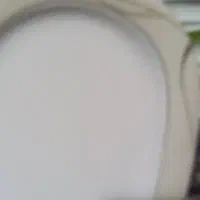 چینی  مقصود  ۱۸ پلوخوری و۱۲ خورشت خوری ودو دیس