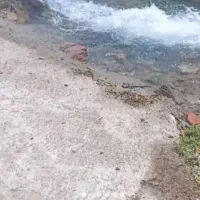 زمین ویلایی باغچه ای در تبریز