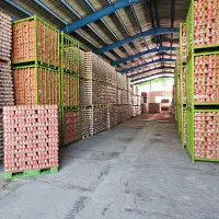 استخدام حسابدار خانم