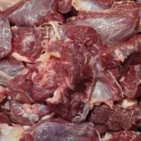 همبرگر دستی|عمدهفروشی|اصفهان, ملکشهر|دیوار