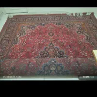فرش دست بافت|فرش|ری, سرتخت|دیوار