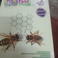 کتاب علوم نهم نو نو|کتاب و مجله آموزشی|قم, باجک سه|دیوار