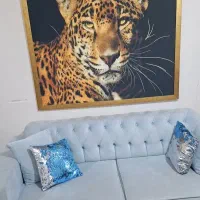 مبل ابی چستر ۳ نفره|مبلمان خانگی و میز عسلی|سنندج, |دیوار