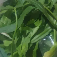 سبزی کوهی|خوردنی و آشامیدنی|شاهین دژ, |دیوار