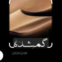 کارت ملی پیدا شده