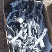 زغال پسته درجه یک