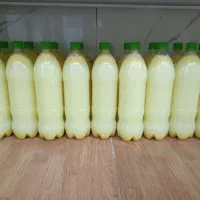 زیتون پرورده گردویی اعلا .آبلیمو وآبغوره طبیعی|عمده‌فروشی|قروه, |دیوار