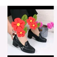 کفش و دمپای طبی|کیف، کفش، کمربند|میلاجرد, |دیوار