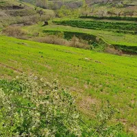 سیم کارت ۹۱۶۳۶۶ جهت فروش