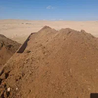 کود حیوانی گاوی گوسفندی مرغ