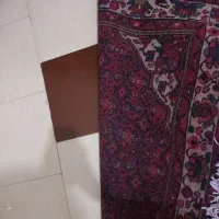 فرش دستبافت|فرش|همدان, |دیوار