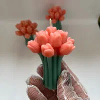 شمع|صنایع دستی و سایر لوازم تزئینی|رشت, معلم|دیوار