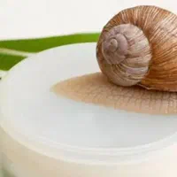 کرم جوانساز سلطنتیِ حلزون
