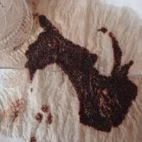 فال و طالع دقیق|خدمات پذیرایی، مراسم|یزد, |دیوار