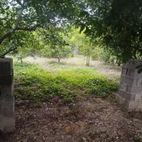 زمین ۲۳۵ متری با بر بالا