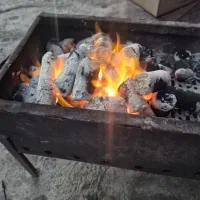 زغال نارگیل|عمده‌فروشی|قلعه نو, |دیوار