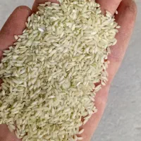 برنج عنبر بو درجه یک