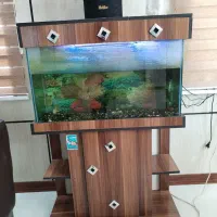 آکواریوم با تمام وسایل قیمت مناسب