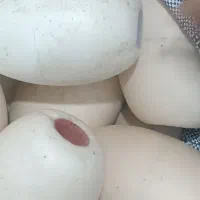 کیبال .کرب .بوج