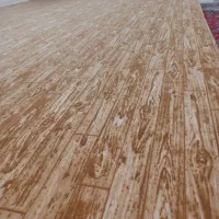 فروش موکت پالاز|موکت|دامغان, |دیوار