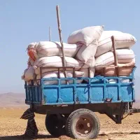 تریلی و خرمن کوب|خودرو سنگین|شیروان (خراسان), |دیوار