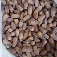 فروش ۱۰۰کیلوخرما قندشکن تروتازه|خوردنی و آشامیدنی|ریگان, |دیوار