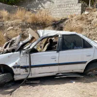 پارس تصادفی