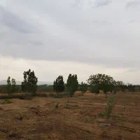 زمین باغی قدیم آباد