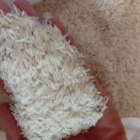 برنج فجر سوزنی درجه یک|خوردنی و آشامیدنی|گرگان, |دیوار