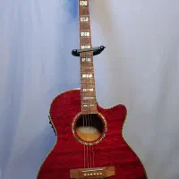 گیتار آکوستیک LTD