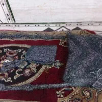 کیف|کیف، کفش، کمربند|کرمان, |دیوار