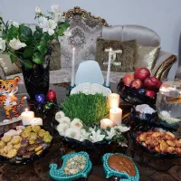 مبلمان سالم ۱۴ نفره
