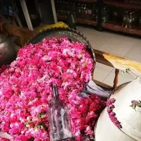 تور شاد به کاشان ،و قم کاشان باقیمت مناسب