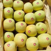 سیب دو ردیف