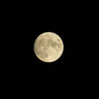 دوربین کنون power shot sx510|دوربین عکاسی و فیلم‌برداری|بوشهر, |دیوار