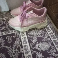 کفش|کیف، کفش، کمربند|گنبد کاووس, |دیوار