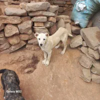 سلام کوچوک دل سه ماه