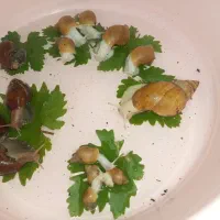 حلزون آچیتینا