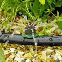 آبیاری قطره ای بارانی