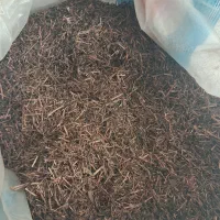 چای|خوردنی و آشامیدنی|تاکستان, |دیوار