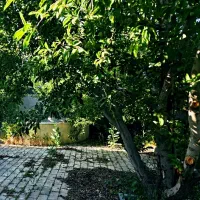 ویلا گلباران
