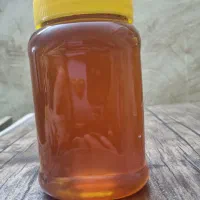 عسل هفت گیاه و عسل کُناروکنجد|خوردنی و آشامیدنی|تهران, طیب|دیوار