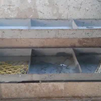 قفسه میوه ۵تیکه|فروشگاه و مغازه|اهواز, کوی مهدیس|دیوار