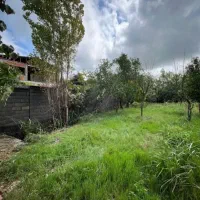 خریدار واقعی این زمین مال توعه/سرمایه گذاری