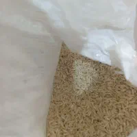 برنج دم سیاه خوش طعم
