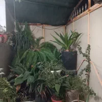 فروش به علت مهاجرت